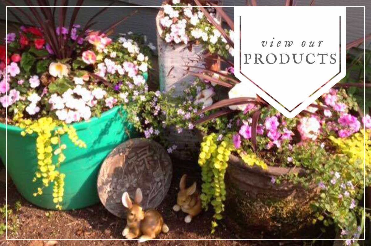 Pots 'n' Pansies Greenhouse & Garden Center – Your little country